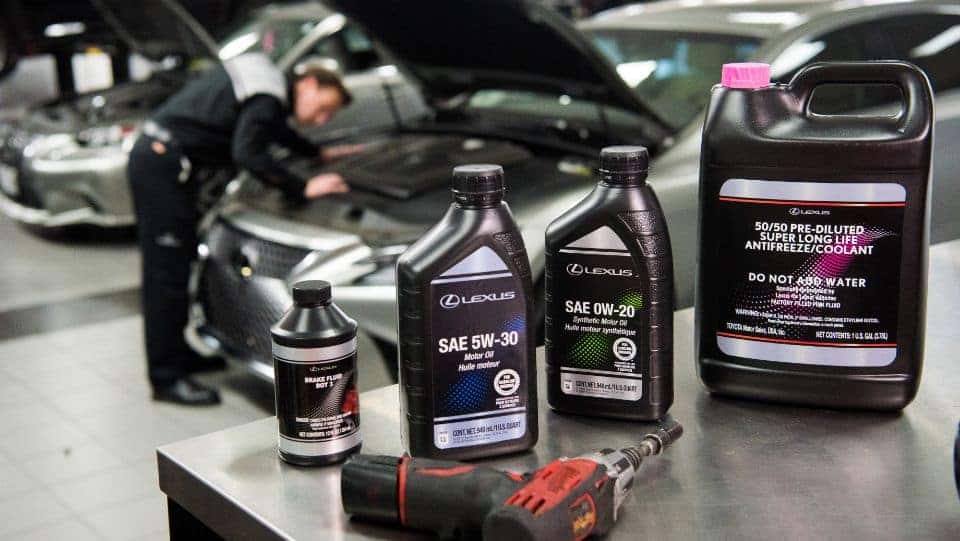 Service