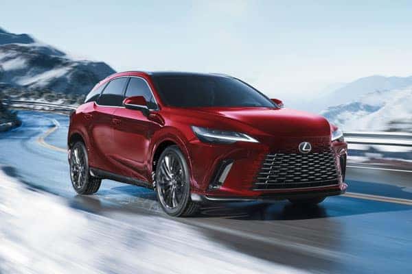 Lexus Tire Guide Interior