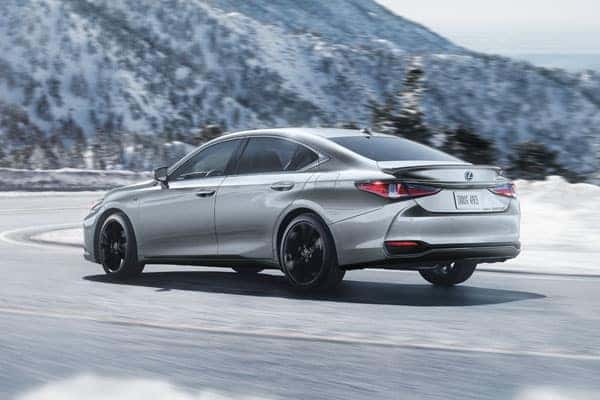 Lexus Tire Guide Interior