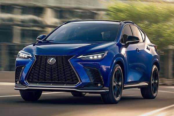 2025 Lexus NX Interior