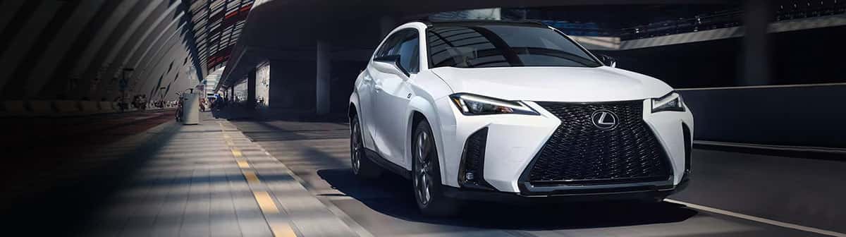 2024 Elite of Lexus Award