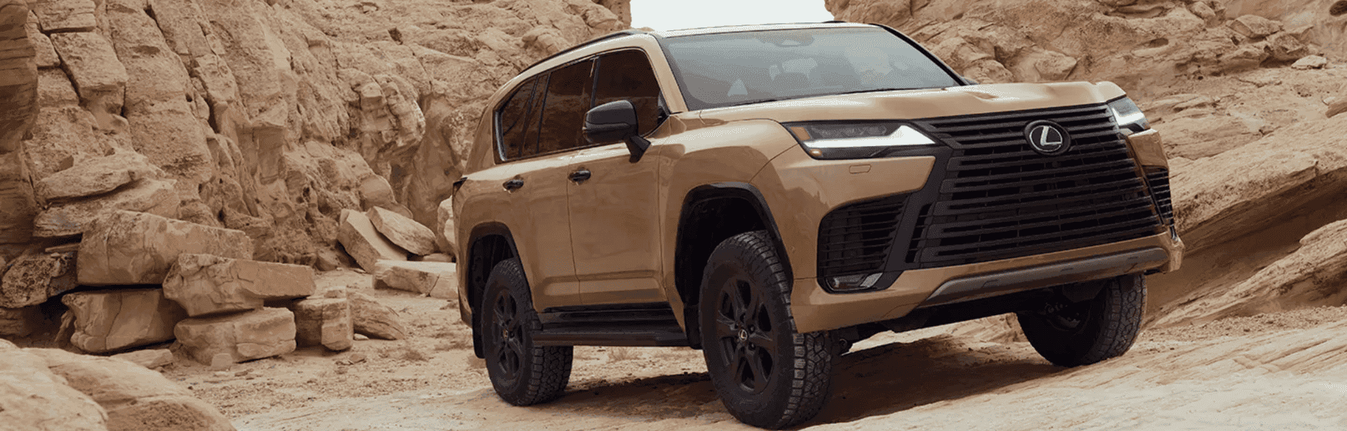 Should You Buy a New or Used Lexus in Cincinnati, OH